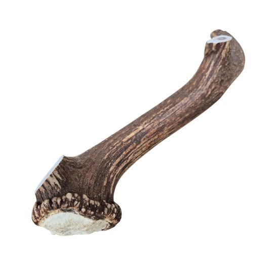 France croquettes bois de cerf à mâcher pour chien - 4xl entier (400 g et +, chien destructeur) - 1 pièce