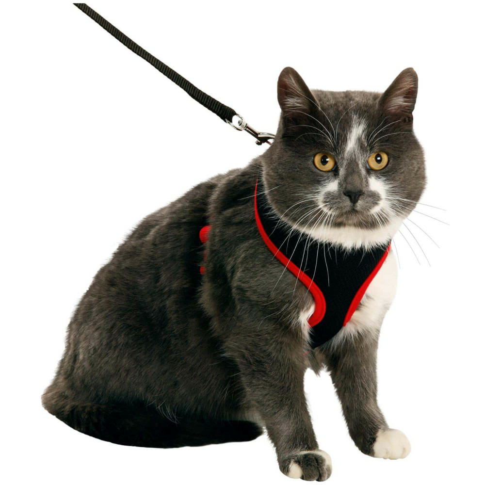 Harnais pour chat, couleur noir et rouge, taille m, réglable