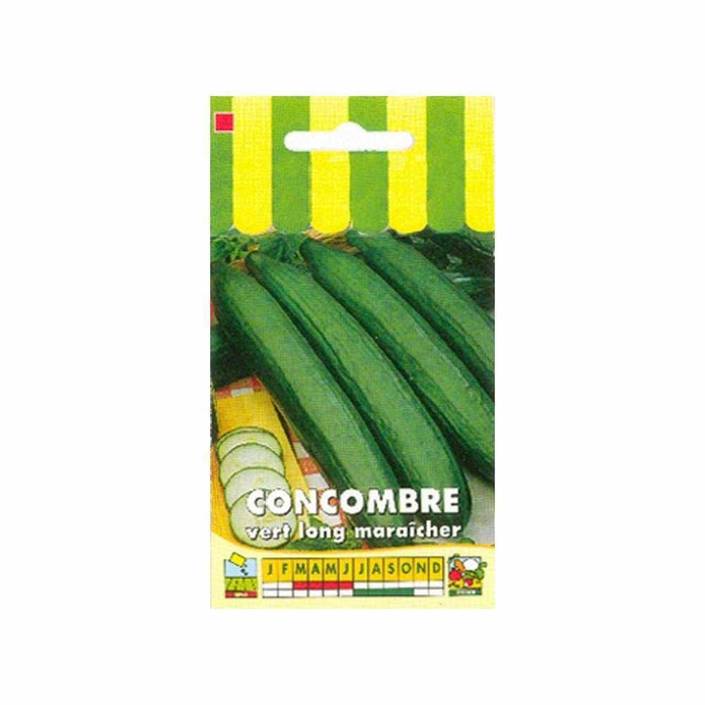 Graines de concombre vert long maraîcher