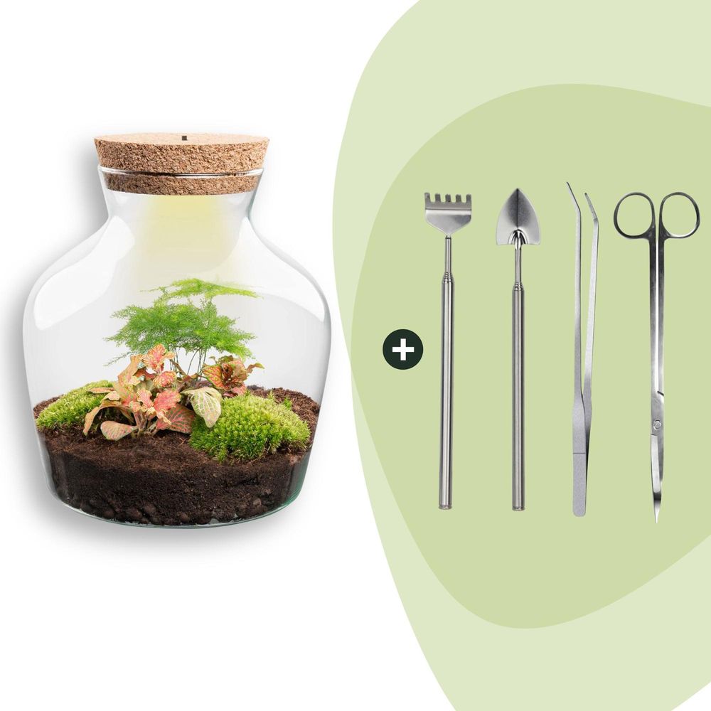 Diy terrarium - little joe - h21.5 cm - ø21.5 cm
