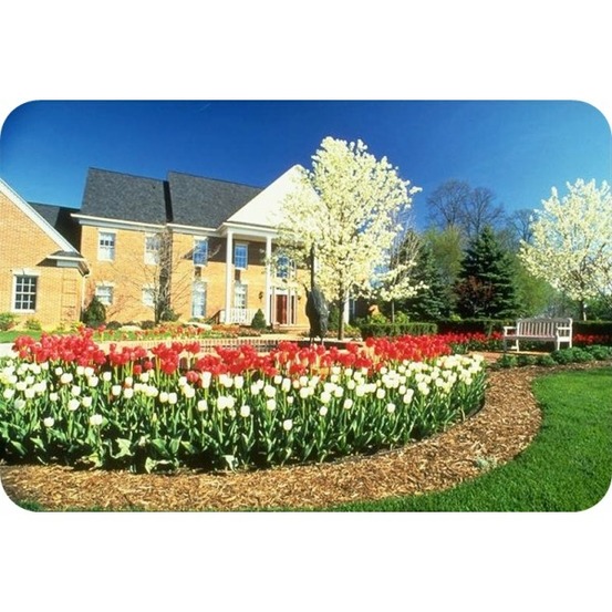 Jeu de 20 bordure de jardin en aluminium ultra solide 24cm x 1m (20m long) | bordure jardinn | bordure jardin metal, sans couleur