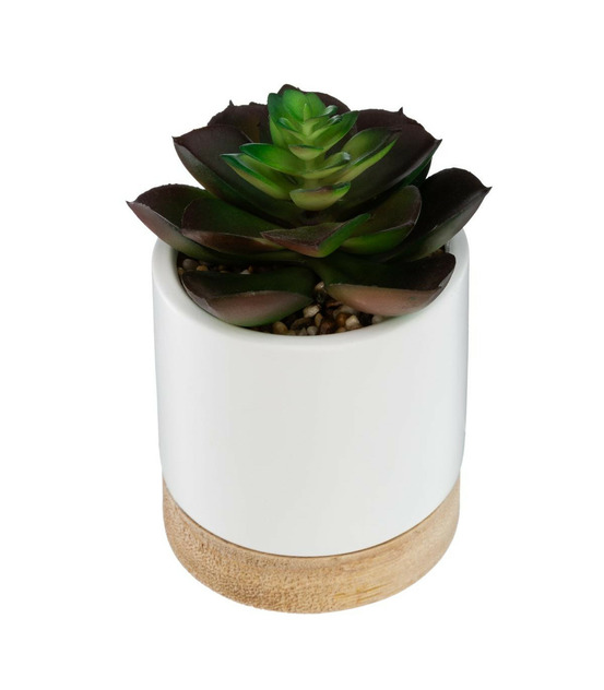 Plante artificielle succulente pot céramique et bois