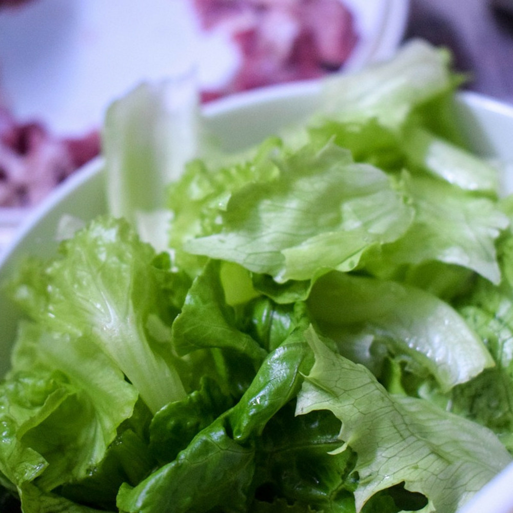 Chicorée scarole blonde à cœur plein - sans traitement sachet