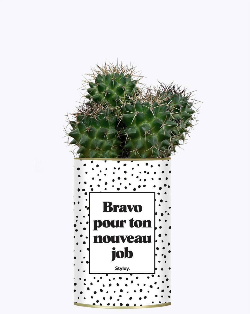 Plante personnalisée - bravo pour ton nouveau job - cactus