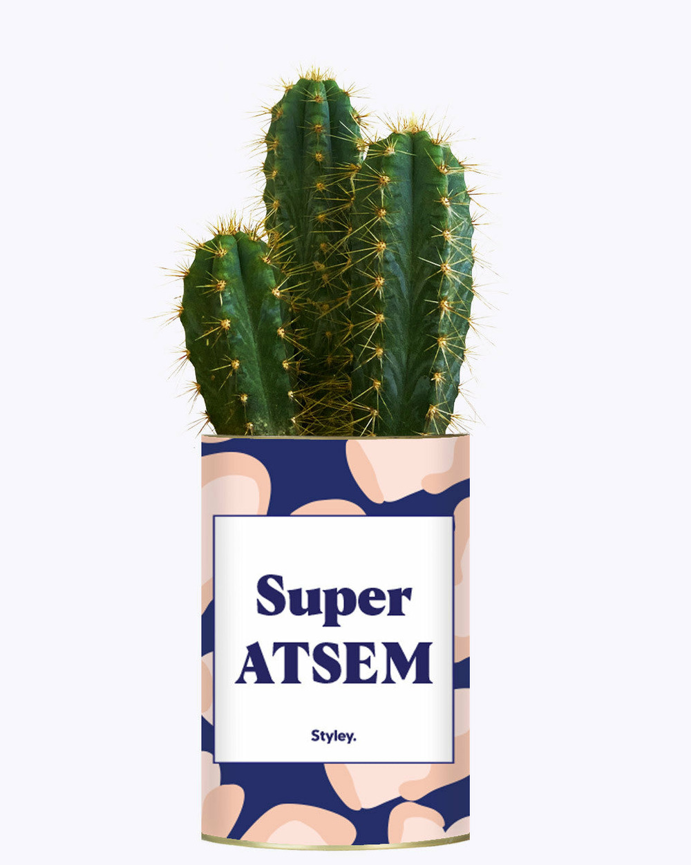 Idée cadeau - super atsem - cactus