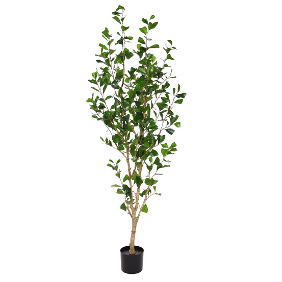 Ficus triangularis artificiel 180cm