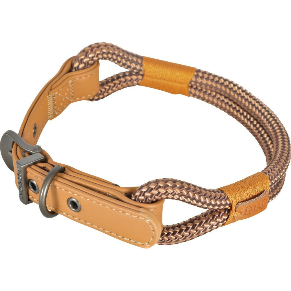 Collier imao 60 cm x 11 mm hyde park marron pour chien