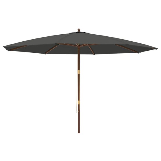 Parasol de jardin avec mât en bois 400 x 273 cm anthracite