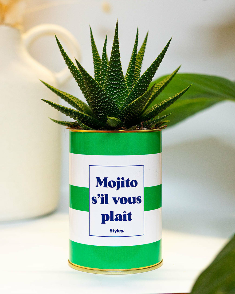 Idée cadeau - mojito s'il vous plait - cactus