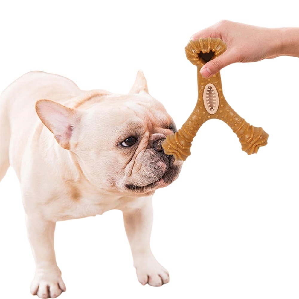 Jouets à mâcher pour chiens-en forme d'osen forme d'os-bon pour la santé dentaire