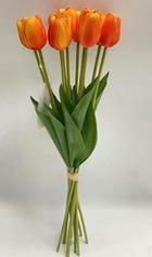 Bouquet10 tulip oran satis h48