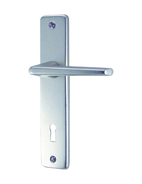 Ensemble poignée sur plaque aluminium argent 165 mm clé l – gets (dt 2000)