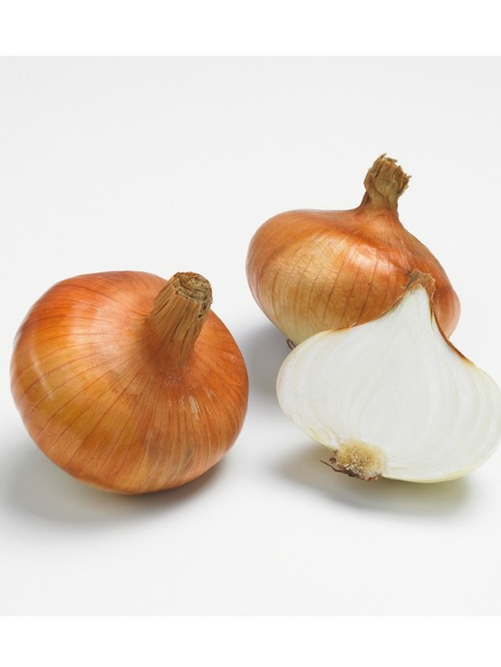 Oignon 'stuttgarter reisen' pièce calibre 14/21 mm, sac de 500g