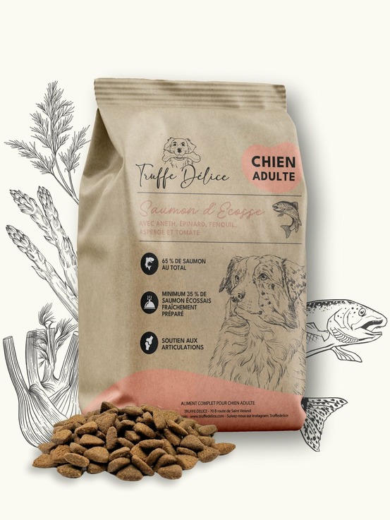 Croquettes chien adulte - saumon d’écosse