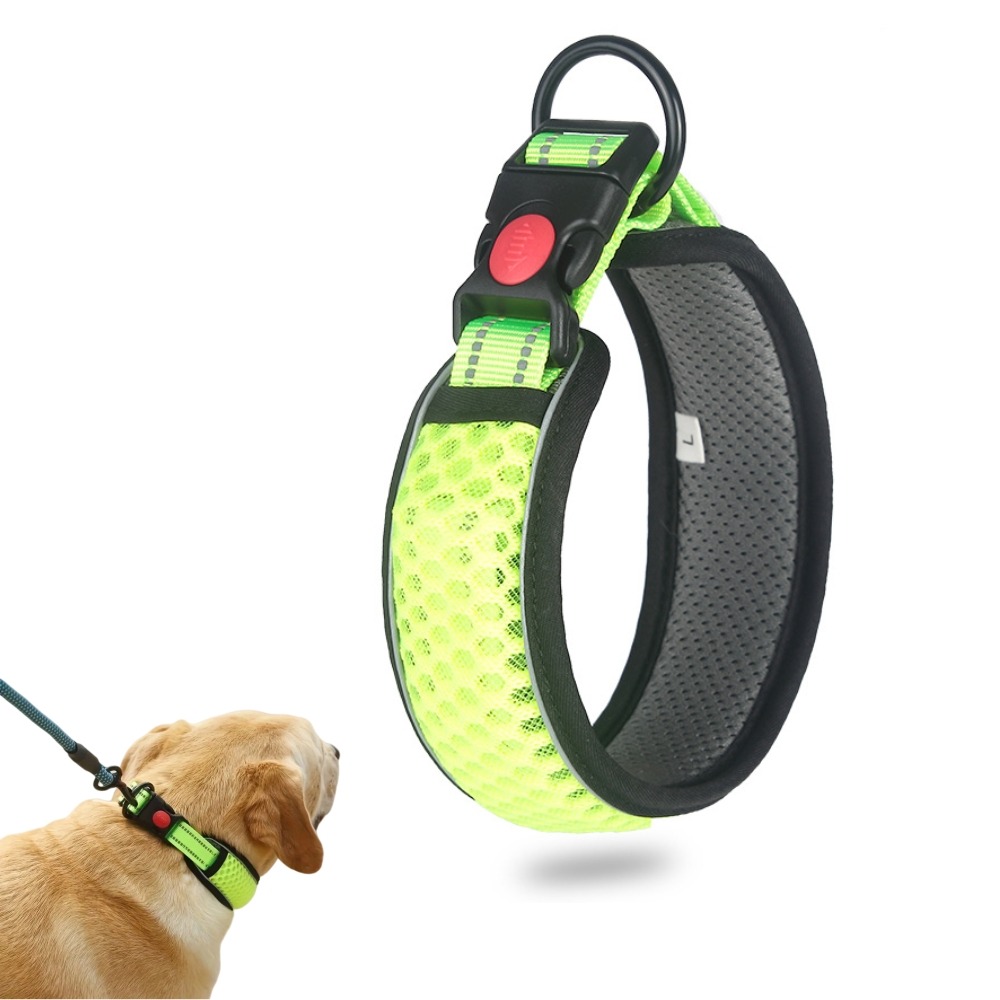 Collier réfléchissant pour chien s