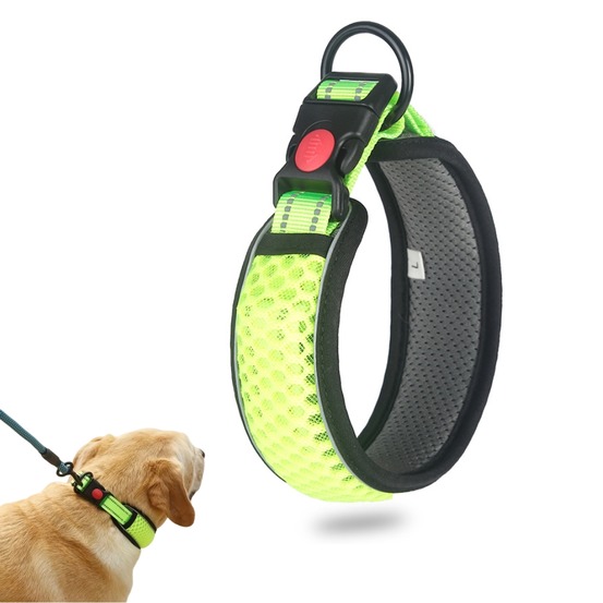 Collier réfléchissant pour chien s