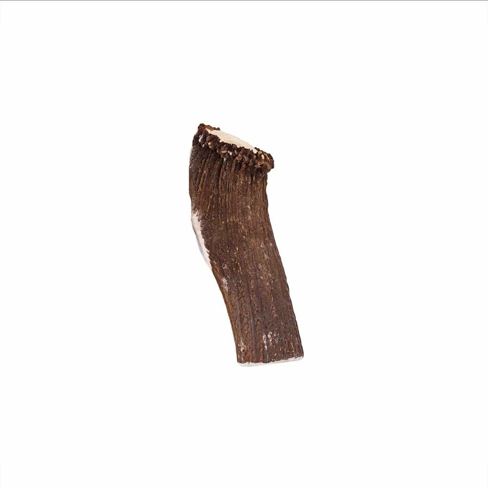 Bois cerf entier - mastications pour chiens