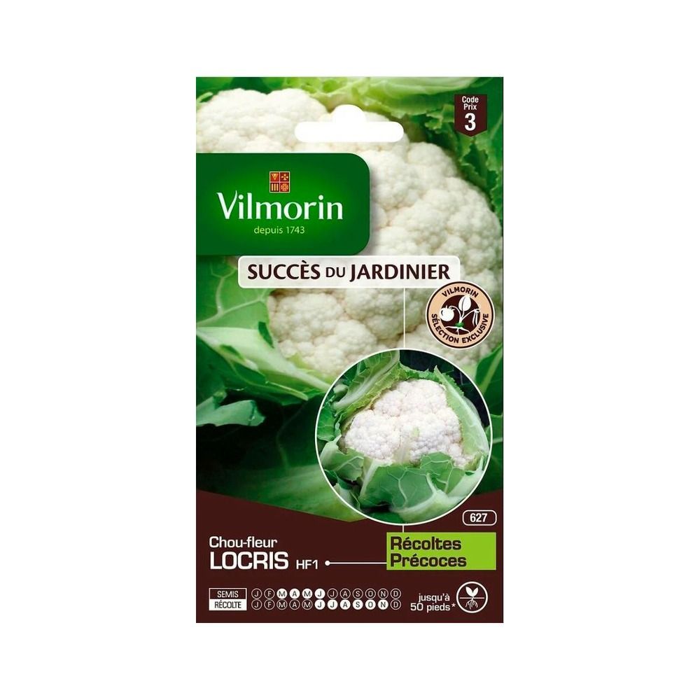 Sachet de graines chou fleur locris hf1 - création vilmorin