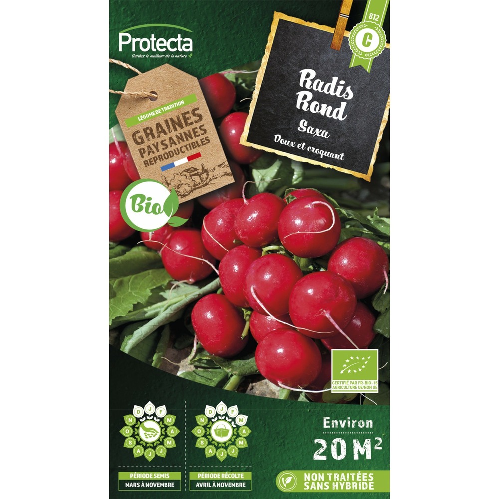 Graines paysannes - radis rond rouge saxa bio