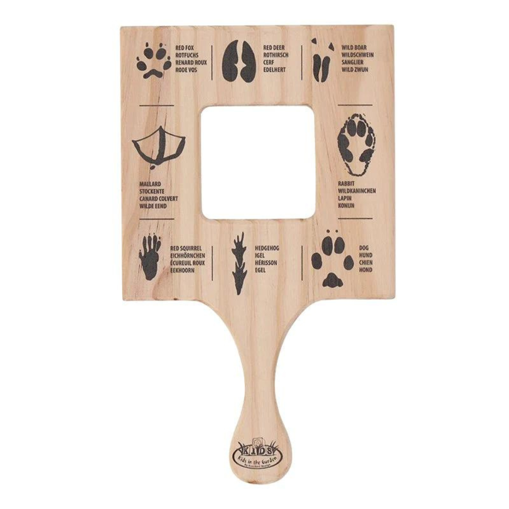 Cadre explorateur traces d'animaux