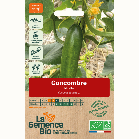 Concombre mirella - graines bio