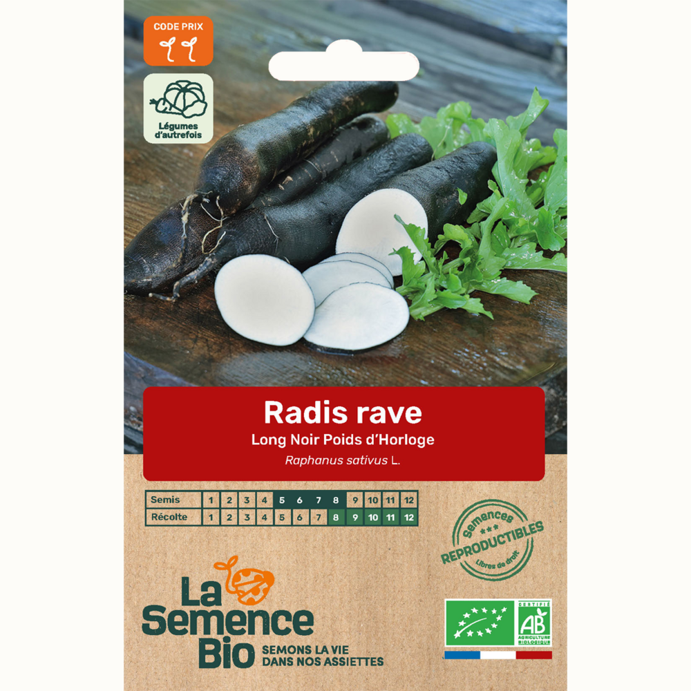 Radis rave long noir poids d'horloge - graines bio