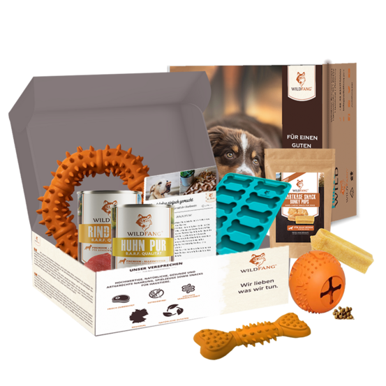 Wildfang - emballage « magic box » - l