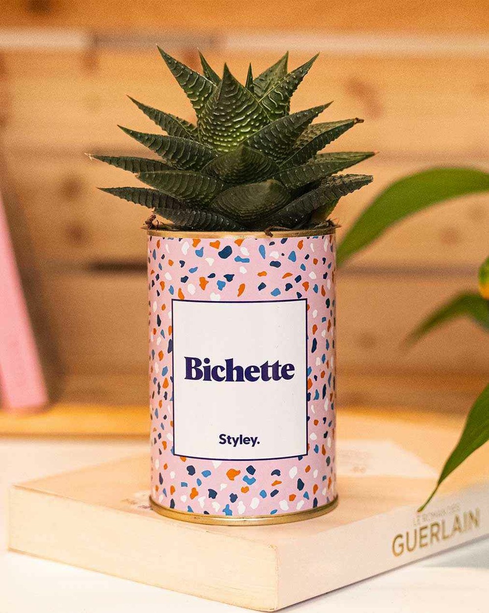 Idée cadeau - bichette - cactus