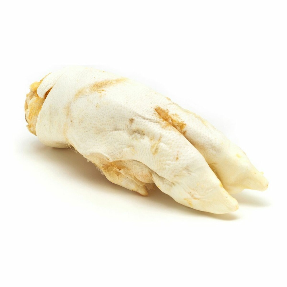 Snack pour chiens gloria pieds