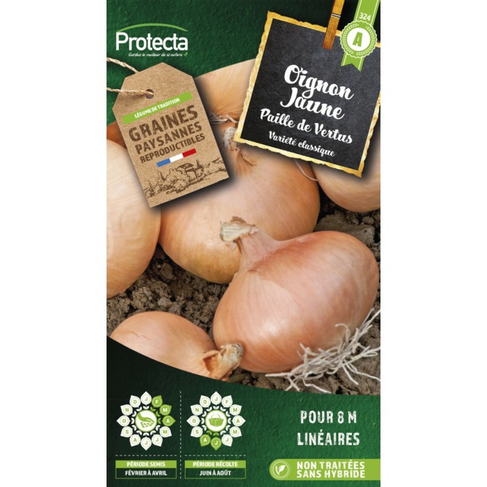 Graines paysannes - oignon jaune paille