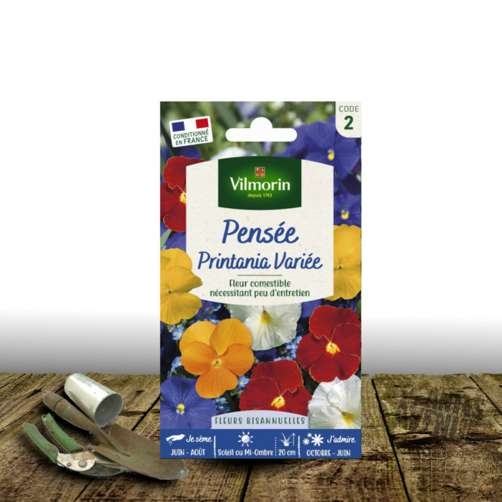 Graines de pensée printania varié - vilmorin sachet