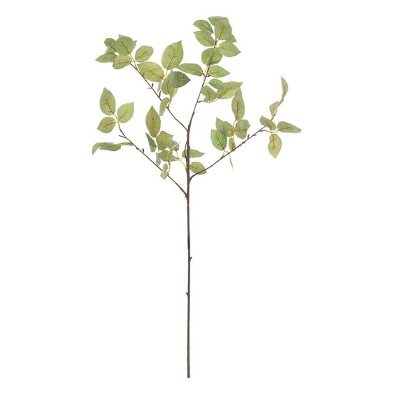 Bch feuilles rosier vert h80