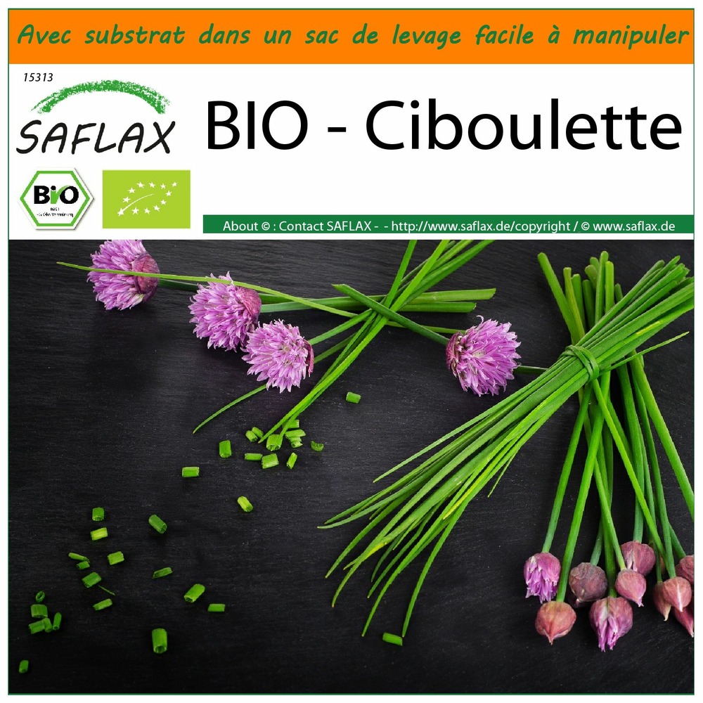 Garden in the bag - bio - ciboulette - 250 graines - allium schoenoprasum
