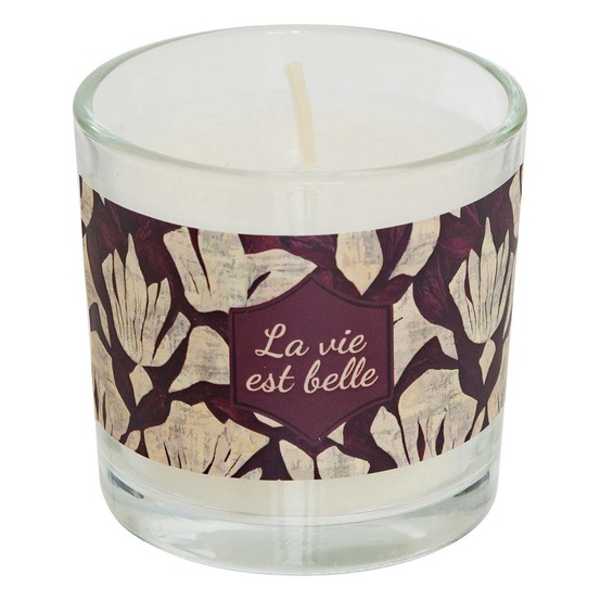 Bougie parfumée daril vanille 45g