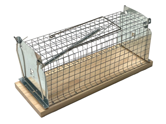 Nasse a rat - socle en bois fsc - grillage résistant - réutilisable - intérieur & extérieur - sans danger carnassfsc