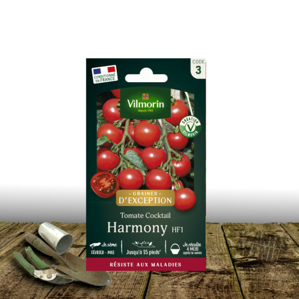 Graines de tomate harmony hf1 - vilmorin sachet