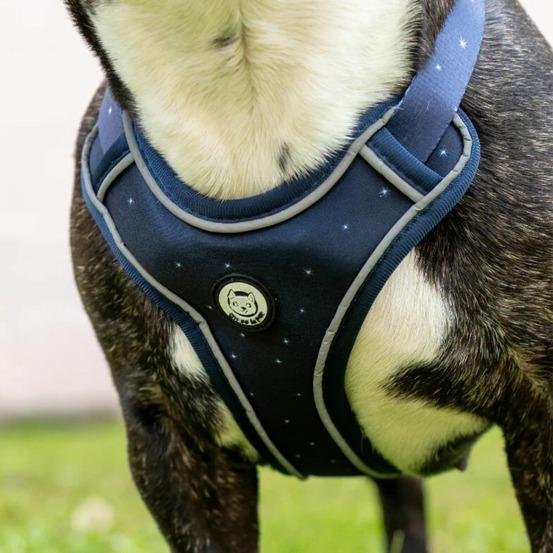 Harnais premium pour chien confortable - bleu nuit - taille s