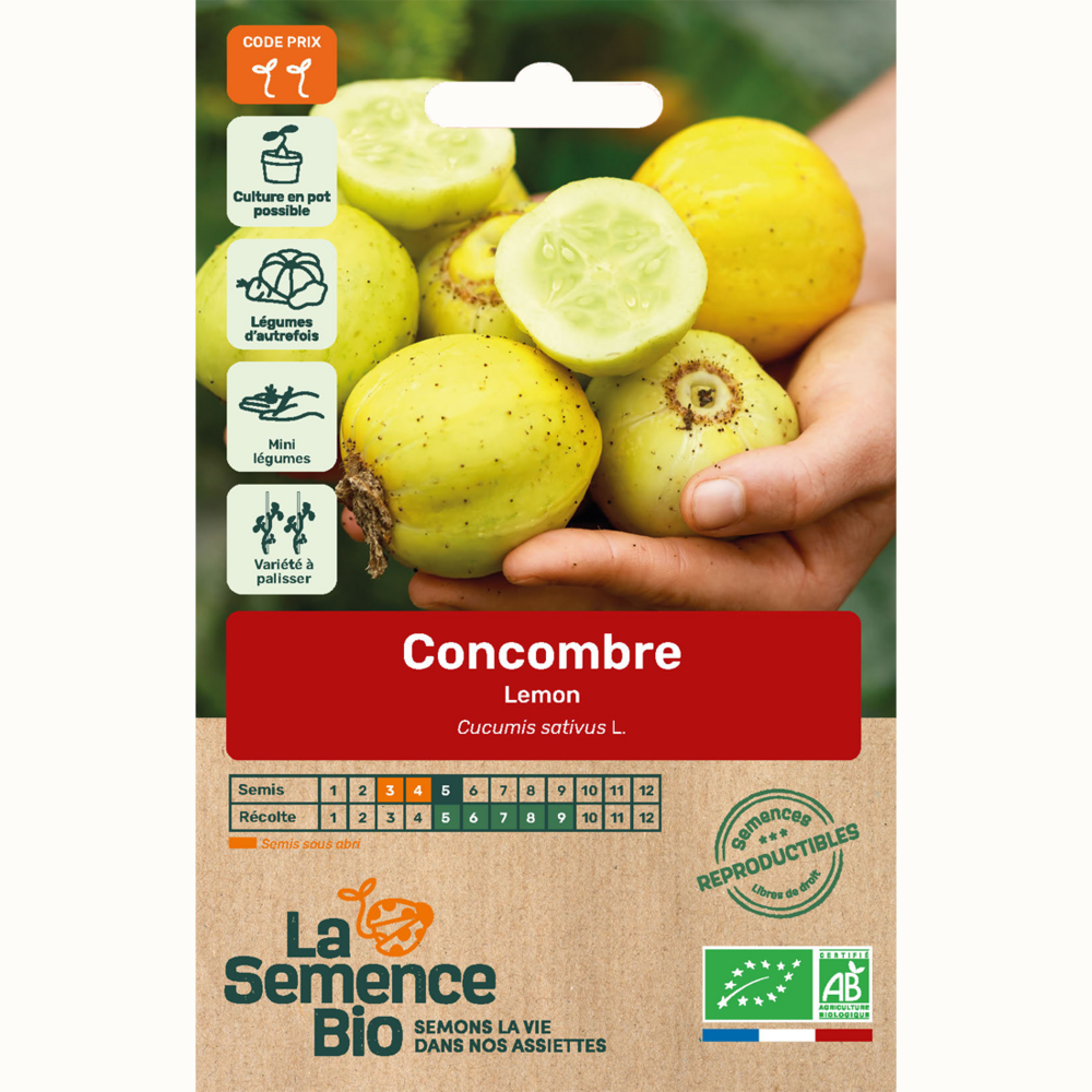 Concombre lemon - graines bio