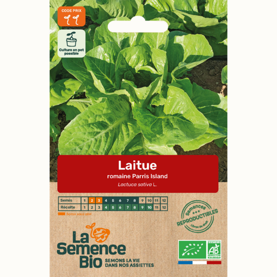 Laitue romaine parris island - graines bio