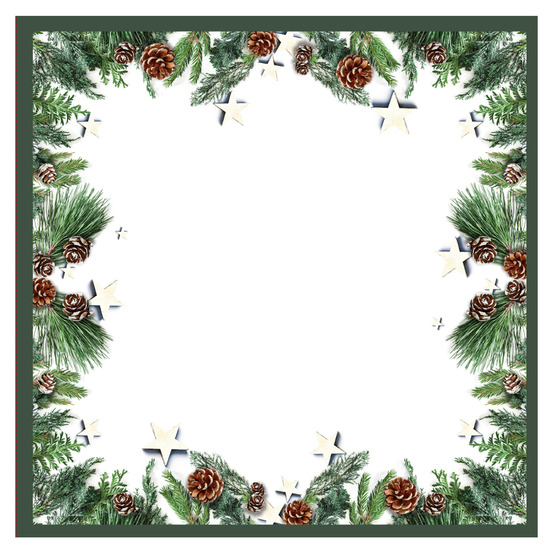 Lot de 20 serviettes en papier pommes de pin