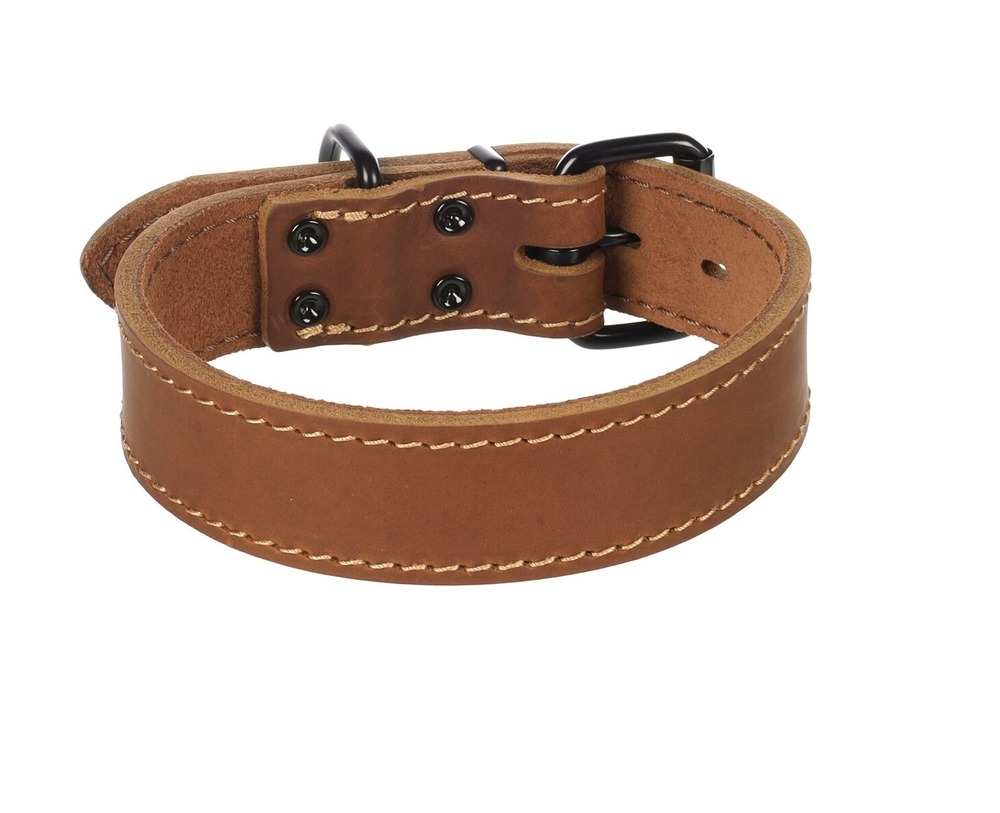 Collier chien montana en cuir