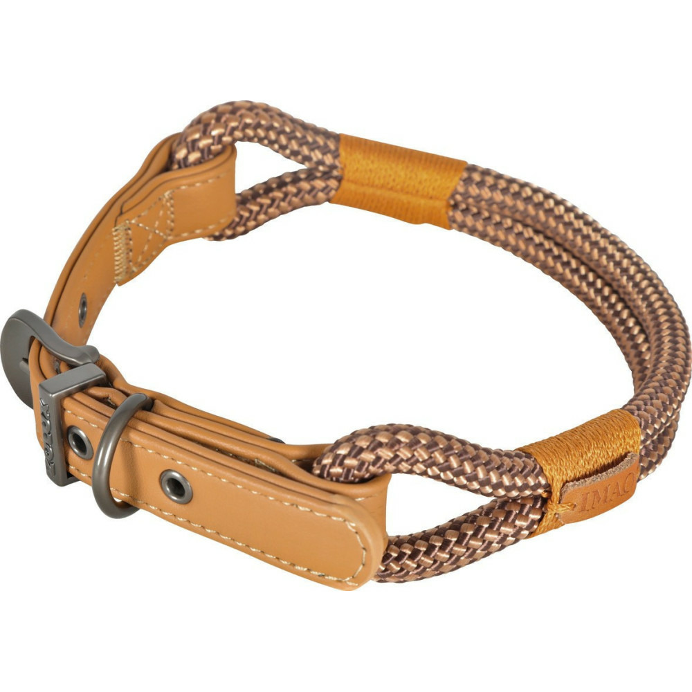 Collier imao 50 cm x 9 mm hyde park chocolat pour chien
