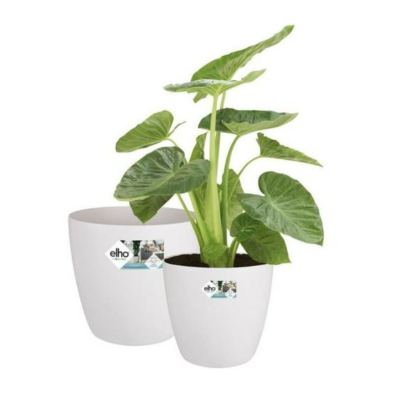 Elho lot de 2 pots de fleur rond a roulettes brussels - ø35 x h33 cm et ø39 x h36,5 cm - 55 l - blanc