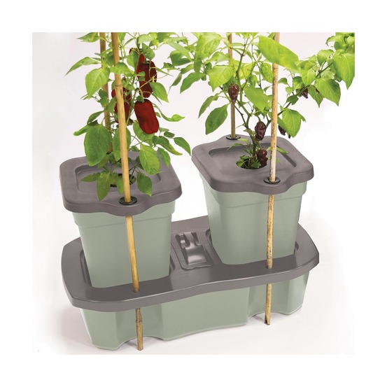 Jardinière duo grow - arosage automatique