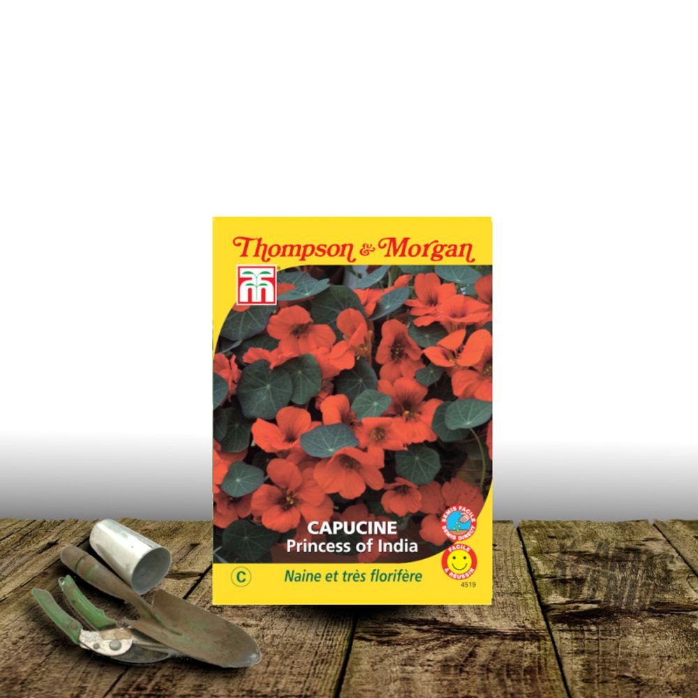 Graines de capucine princess of india - thompson & morgan sachet