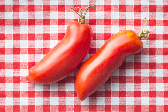 Sachet de graines de tomates cornue des andes - sachet de 0,1 grammes - petite entreprise française - made in france