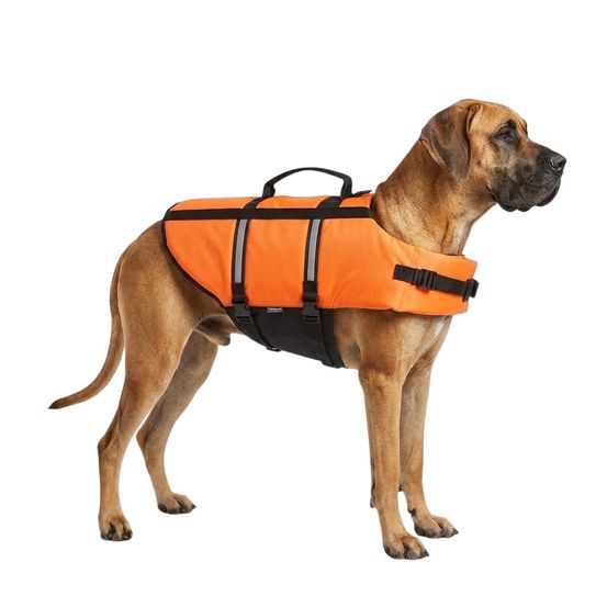 Gilet de sauvetage pour chien marinus fluo