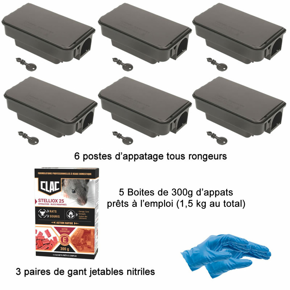 Kit traitement professionnel rongeur rats-mulots-campagnols-loirs