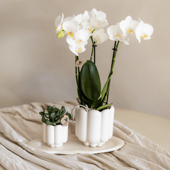 Retro blanc - h40 cm