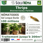 Solunéma - thrips - nématodes (sf)-100 millions pour traiter jusqu'à 200 m²